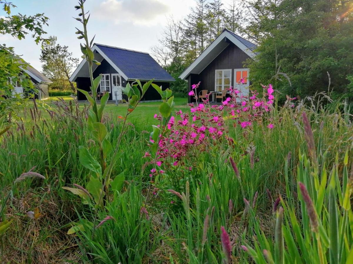 Lindvig - Ferie I Naturen Nymindegab Exterior foto